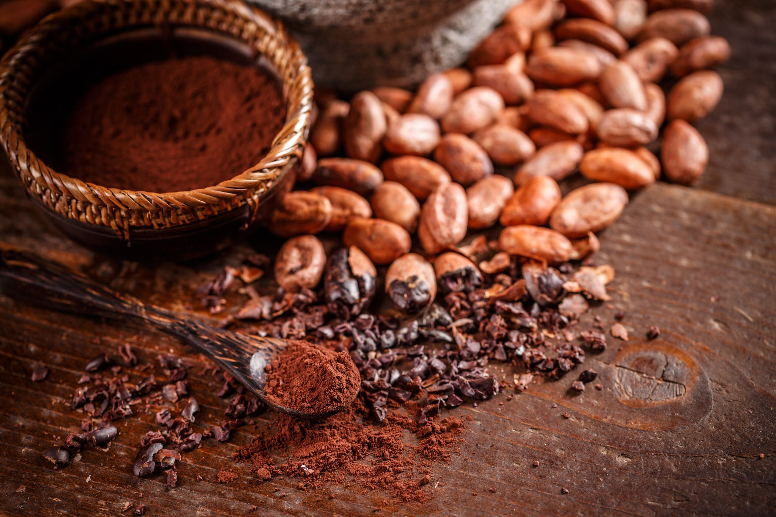 Organic cacao beans and cacao powder in spoon